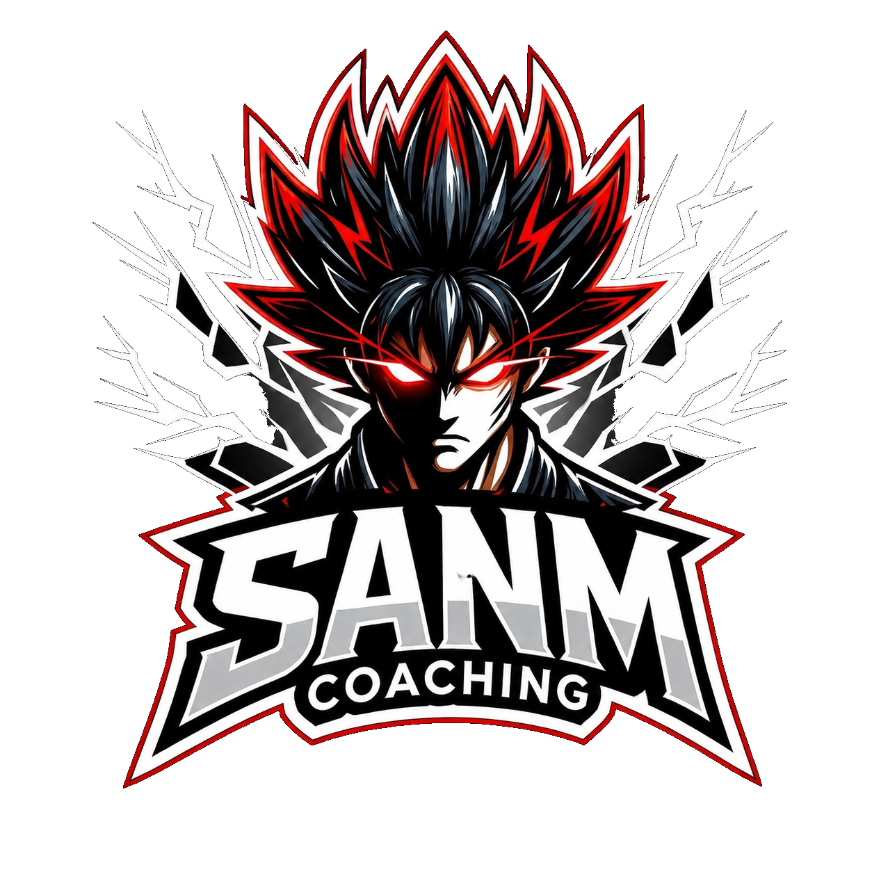 SANM Coaching