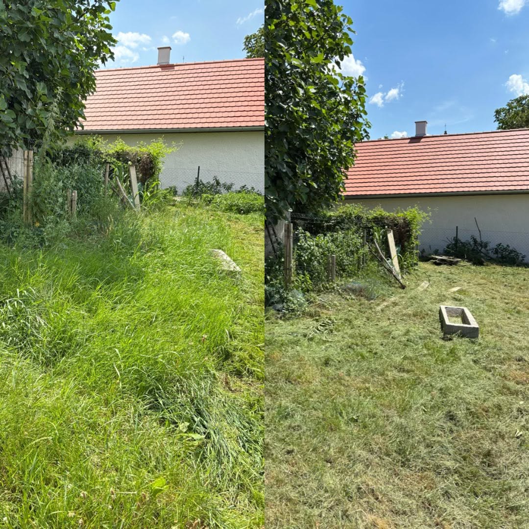 Gólya minőségellenőr